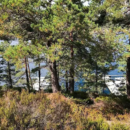 With Panoramic View Of Sandnesfjorden Feriehus *