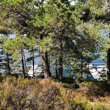 Feriehus With Panoramic View Of Sandnesfjorden