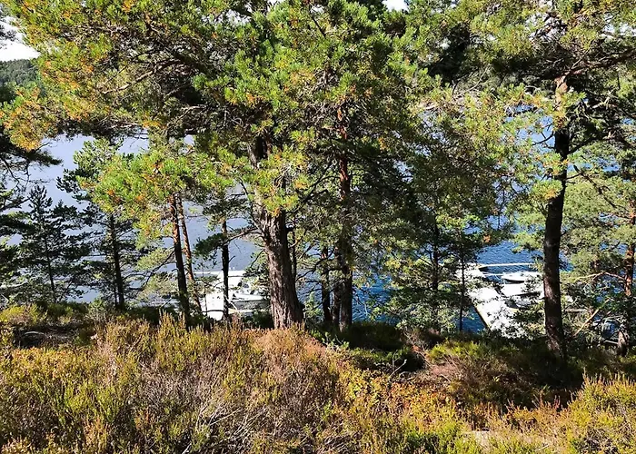 Hébergement de vacances With Panoramic View Of Sandnesfjorden